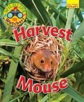 Immagine del venditore per Owen, R: Wildlife Watchers: Harvest Mouse venduto da moluna