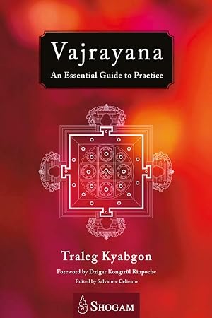 Seller image for Vajrayana: An Essential Guide To Practice for sale by Redux Books