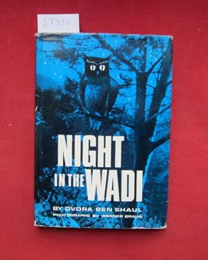 Seller image for Night in the Wadi. Layout / design: Shirley Hirsch. for sale by Versandantiquariat buch-im-speicher