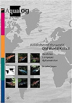 Bild des Verkufers fr Killifishes of the world. Old World Killis 1: Ricefishes, Lampeyes, Aphyosemion : Ricefishes, Lampeyes, Aphyosemion zum Verkauf von AHA-BUCH