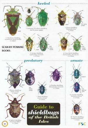 Seller image for Shieldbugs of the British Isles (WildID) for sale by WeBuyBooks