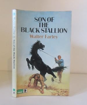 Seller image for Son of the Black Stallion for sale by BRIMSTONES