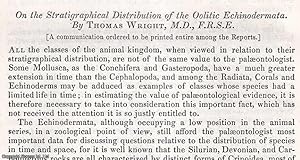 Seller image for The Stratigraphical Distribution of the Oolitic Echinodermata. An uncommon original article from the British Association for the Advancement of Science Report, 1856. for sale by Cosmo Books