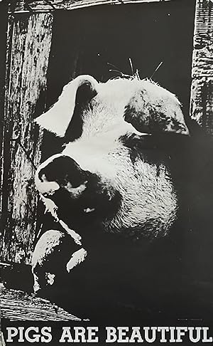 "Pigs are Beautiful" Poster