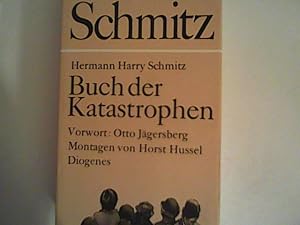 Imagen del vendedor de Buch der Katastrophen. Tragikomische Geschichten a la venta por ANTIQUARIAT FRDEBUCH Inh.Michael Simon