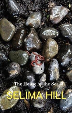 Imagen del vendedor de The House by the Sea: 7 (What to Wear in Bed) a la venta por WeBuyBooks