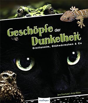 Seller image for Geschpfe der Dunkelheit Grottenolm, Glhwrmchen & Co for sale by Antiquariat Buchhandel Daniel Viertel