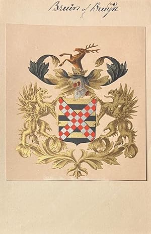 [Heraldic coat of arms] Coloured coat of arms of the Bruin or Bruyn family, family crest, 1 p.