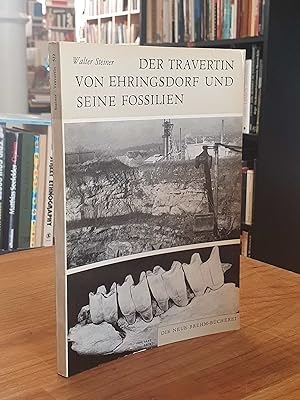 Der Travertin von Ehringsdorf und seine Fossilien,