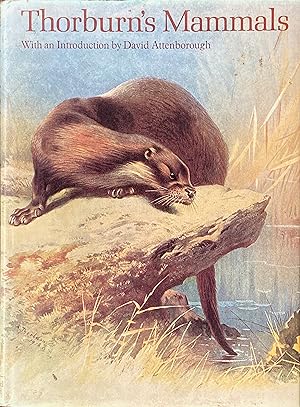 Seller image for Thorburn's mammals for sale by Acanthophyllum Books