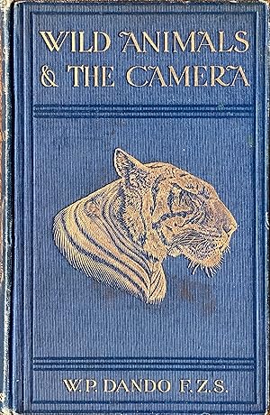 Wild animals & the camera