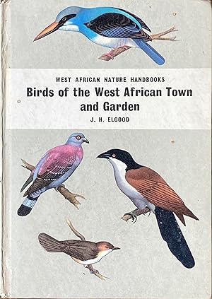 Imagen del vendedor de Birds of the west African town and garden a la venta por Acanthophyllum Books