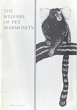The welfare of pet marmosets