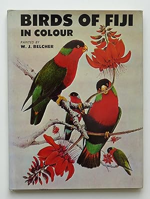 Birds of Fiji in Colour