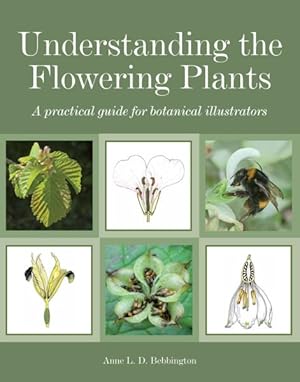 Image du vendeur pour Understanding the Flowering Plants : A Practical Guide for Botanical Illustrators mis en vente par GreatBookPrices