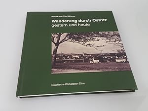 Seller image for Wanderung durch Ostritz gestern und heute Marita und Tilo Bhmer for sale by SIGA eG