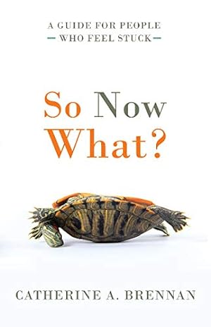 Immagine del venditore per So Now What?: A Guide for People Who Feel Stuck venduto da ZBK Books
