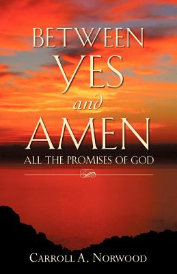 Immagine del venditore per Between Yes and Amen (Paperback or Softback) venduto da BargainBookStores