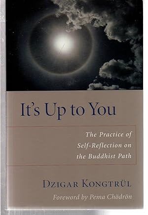Bild des Verkufers fr It's Up to You: The Practice of Self-Reflection on the Buddhist Path zum Verkauf von EdmondDantes Bookseller