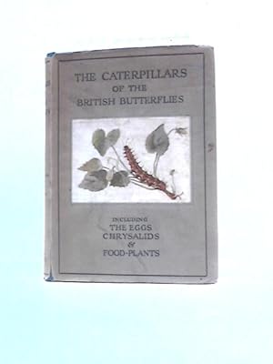 Imagen del vendedor de The Caterpillars of the British Butterflies a la venta por World of Rare Books