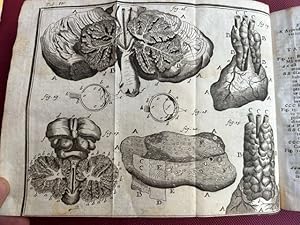 D. Laurentii Heisteri. Compendium anatomicum totam rem anatomicam brevissime complectens. Editio ...
