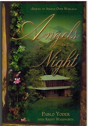 Seller image for ANGELS IN THE NIGHT for sale by The Avocado Pit