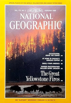 Imagen del vendedor de National Geographic Magazine: February 1989 a la venta por Kayleighbug Books, IOBA