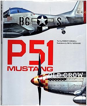 Seller image for P-51 Mustang for sale by Cat's Curiosities