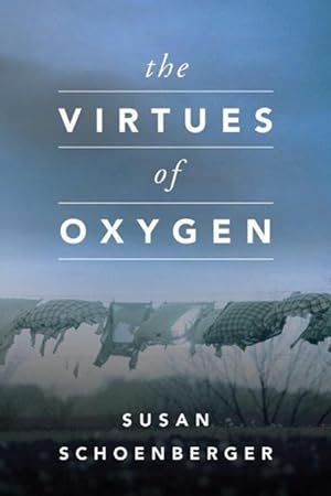 Bild des Verkufers fr The Virtues of Oxygen zum Verkauf von moluna