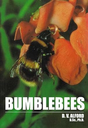 Bumblebees.