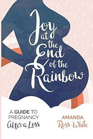 Bild des Verkufers fr Joy at the End of the Rainbow: A Guide for Pregnancy After a Loss: A Guide to Pregnancy After a Loss zum Verkauf von WeBuyBooks