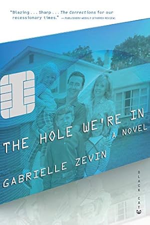 Imagen del vendedor de The Hole We're In a la venta por -OnTimeBooks-