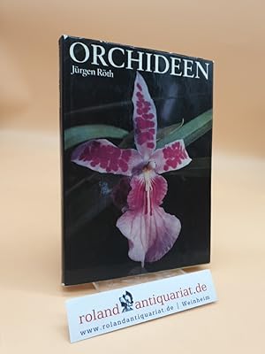 Imagen del vendedor de Orchideen Jrgen Rth. [Mit 131 Zeichn. von Martha-Luise Gubig] a la venta por Roland Antiquariat UG haftungsbeschrnkt