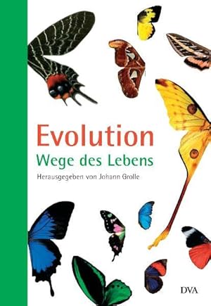 Evolution Wege des Lebens