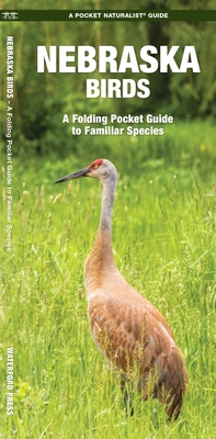 Seller image for Nebraska Birds: An Introduction to Familiar Species (Paperback or Softback) for sale by BargainBookStores