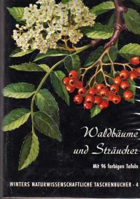 Bild des Verkufers fr Waldbume und Strucher zum Verkauf von BuchSigel