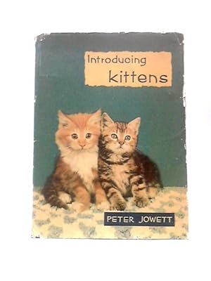 Imagen del vendedor de Introducing Kittens a la venta por World of Rare Books