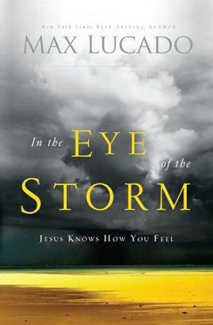 Seller image for In the eye of the storm repackage: A Day in the Life of Jesus for sale by WeBuyBooks