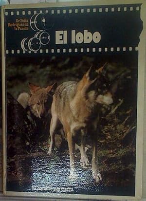 Imagen del vendedor de El lobo a la venta por Almacen de los Libros Olvidados