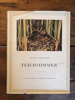 Teichsommer - Zwanzig Wochen in Risch und Rohr im Schilfversteck: Ein Farbbilderbuch von der somm...