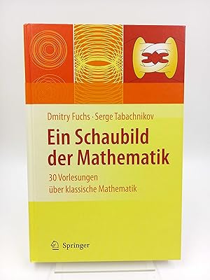 Ein Schaubild der Mathematik 30 Vorlesungen über klassische Mathematik