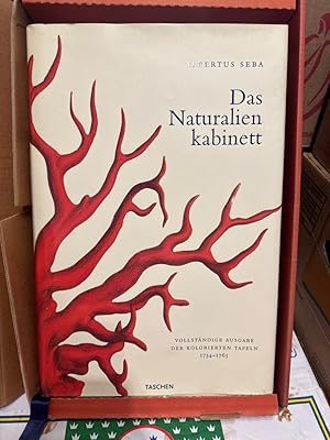 Bild des Verkufers fr Das Naturalienkabinett. Locupletissimi rerum naturalium thesauri 1734-1765. Nach dem Original aus der Koninklijke Bibliotheek, Den Haag. zum Verkauf von PlanetderBuecher