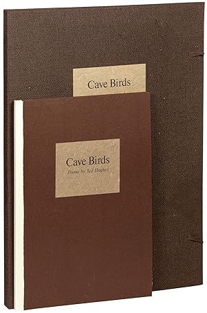 Cave Birds