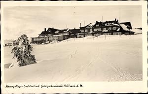 Ansichtskarte / Postkarte Riesengebirge Sudetenland, Geierguckenbaude, Winter, Schnee