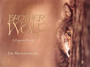 Immagine del venditore per Brother Wolf: A Forgotten Promise venduto da WeBuyBooks