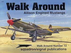 Allison Engined Mustangs - Walk Around No. 13