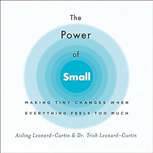 Seller image for The Power of Small: Making Tiny Changes When Everything Feels Too Much for sale by Reliant Bookstore