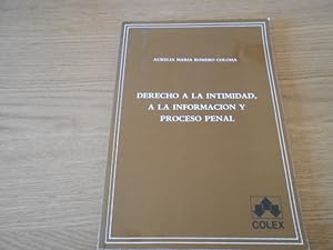 Bild des Verkufers fr Derecho a la intimidad, a la informacin y proceso penal. zum Verkauf von LIBRERA OESTE