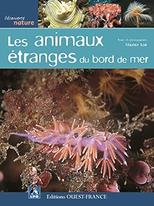 Bild des Verkufers fr Les Animaux tranges du bord de mer zum Verkauf von Dmons et Merveilles