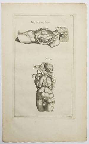 Opera omnia anatomica & chirurgica, 57. Tabula: Eingeweide.